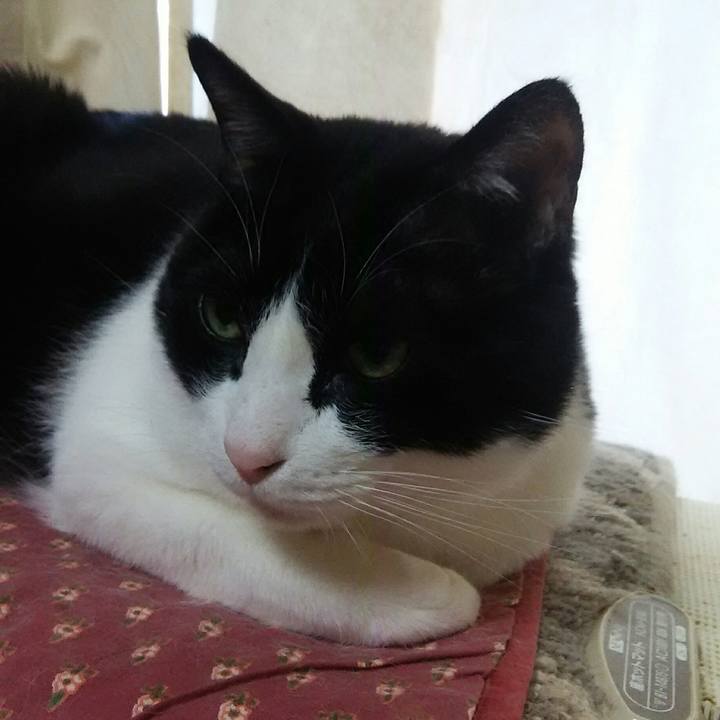 D95f993d d144 4a0f 8cad 90ce5bb5e4b9