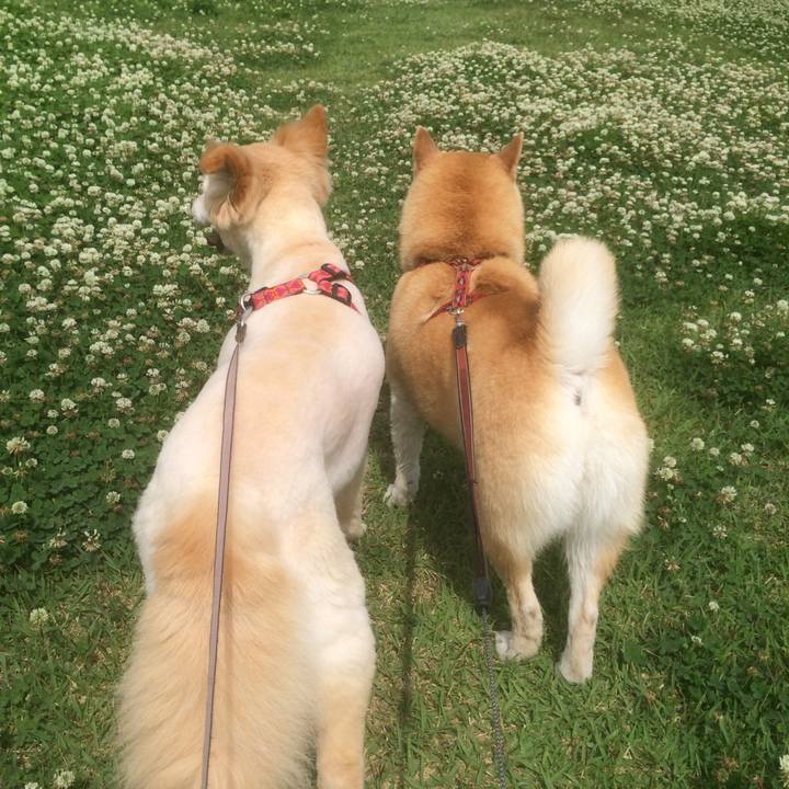 D95fae56 0180 415f 9c05 c93d2f9ef541