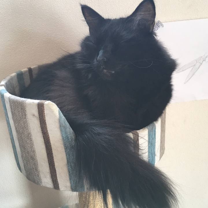 D960e975 2725 4a5b ae0e 88256602d07e