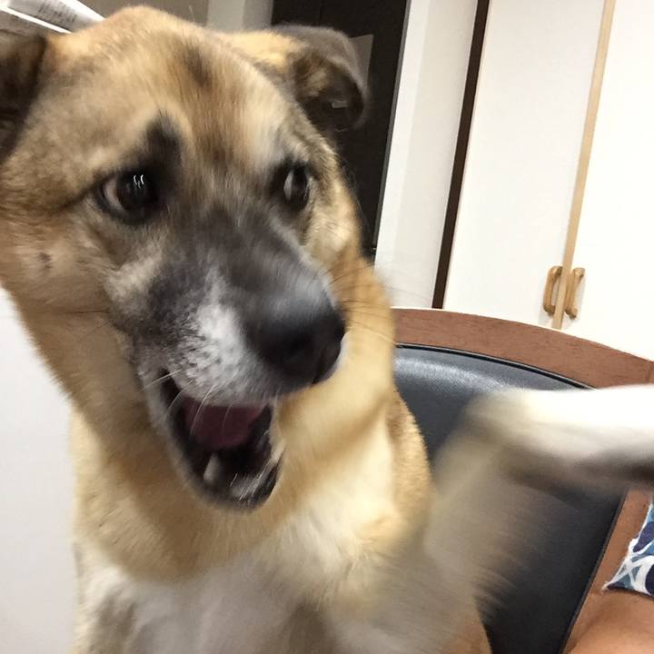 D96288ac 8ec8 415a 81c5 0925c731c21e