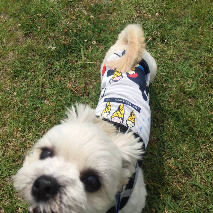 D9628f98 0c64 4ca1 83cd b2a73ff49493