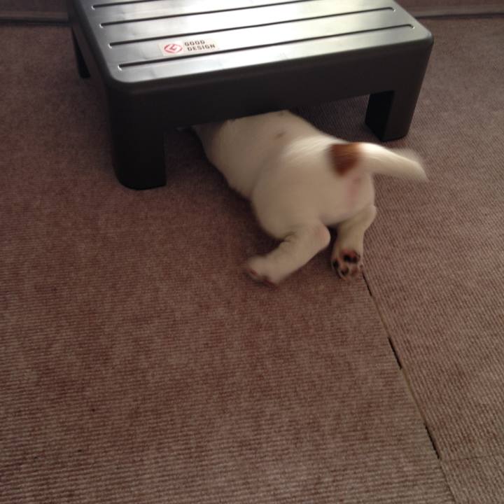 D962c374 96f3 48c7 8f46 7808807a5c62