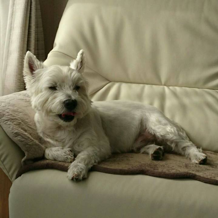 D96354dd 14a2 4ba6 8635 bd1730acbb6c