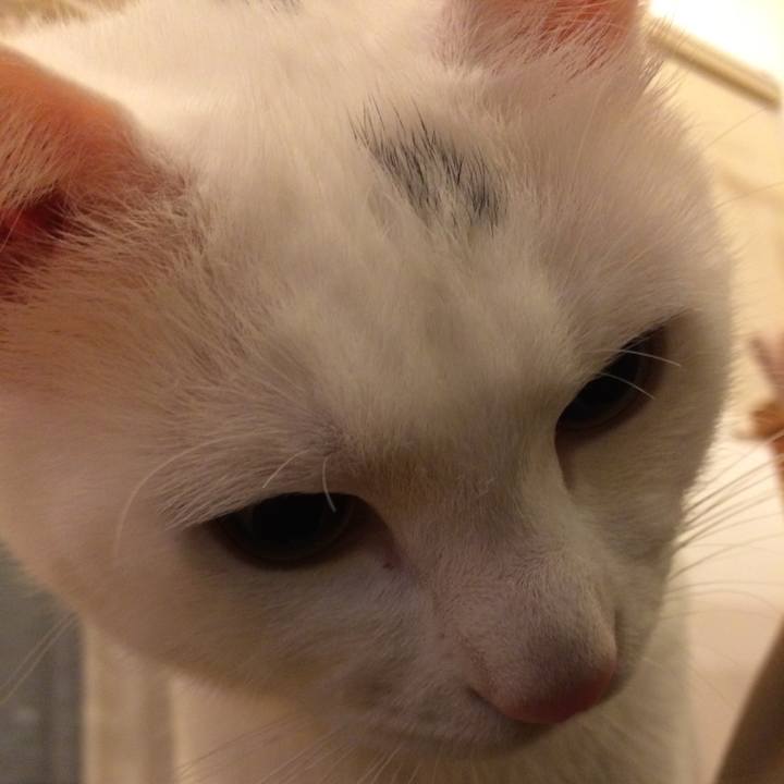 D9637b86 9707 4f11 8b9d ad2f2ca37edc