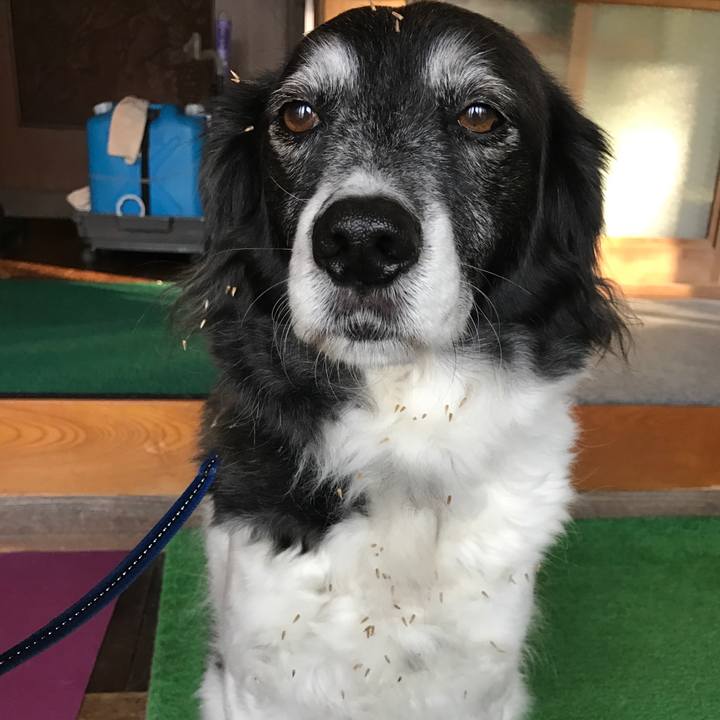 D9638216 b5c0 4c34 9d7c 8e48ccacc955