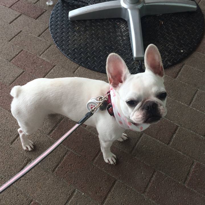 D9655a37 ce04 411e b0a4 15b47a31c4c6