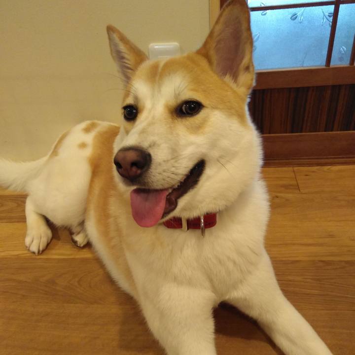 D9666b05 f039 4feb 8cd9 d62d3d818e85