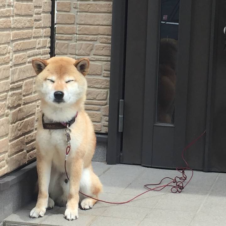 D9668551 b77f 45d7 a28b bbd73a5ad7ff