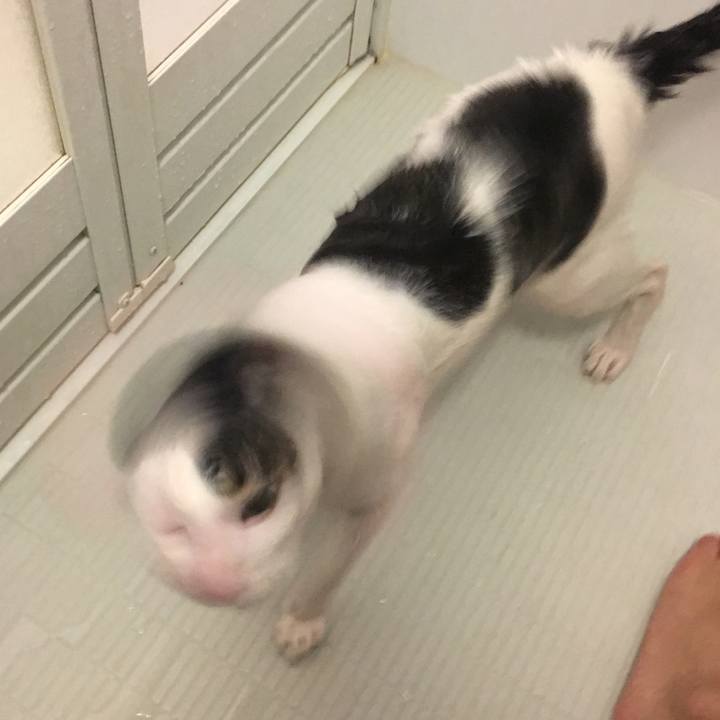 D966ef9a 4bbb 490e a3a9 9bb78a25cb7a