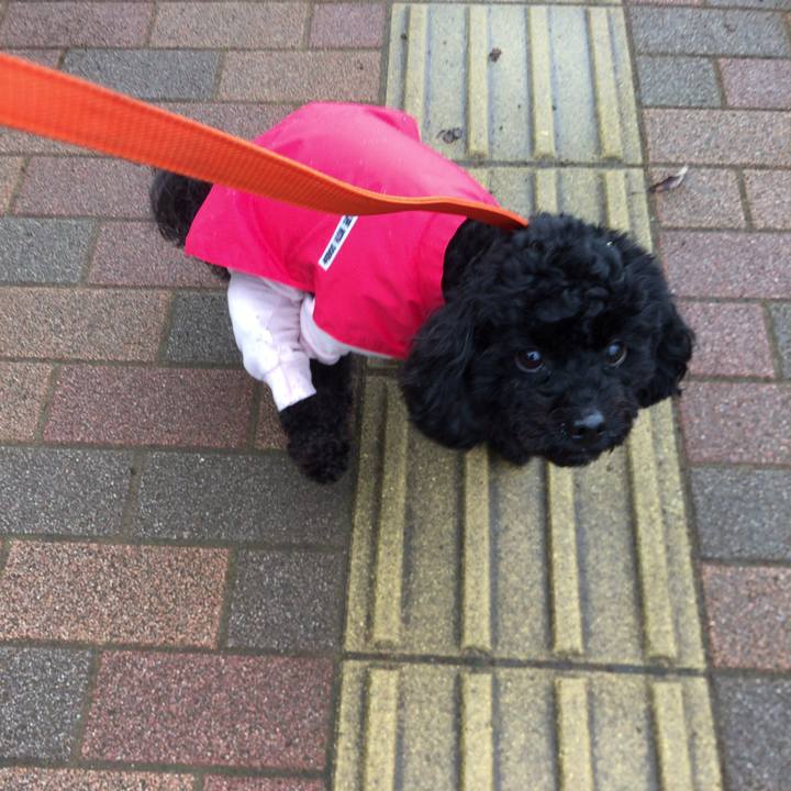 D967402b 9d04 4e46 8ce3 ad5b90a4ddbb