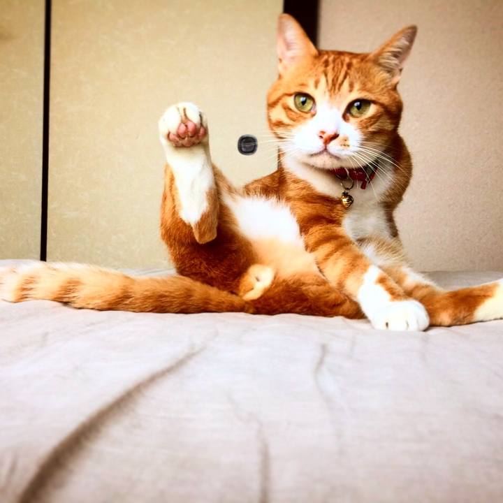 D9678e9c 5a48 43c6 9951 58e9a194e35d