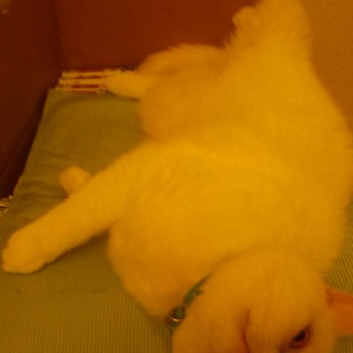 D9679458 4620 4a7b 8e8c ec2485a32f13