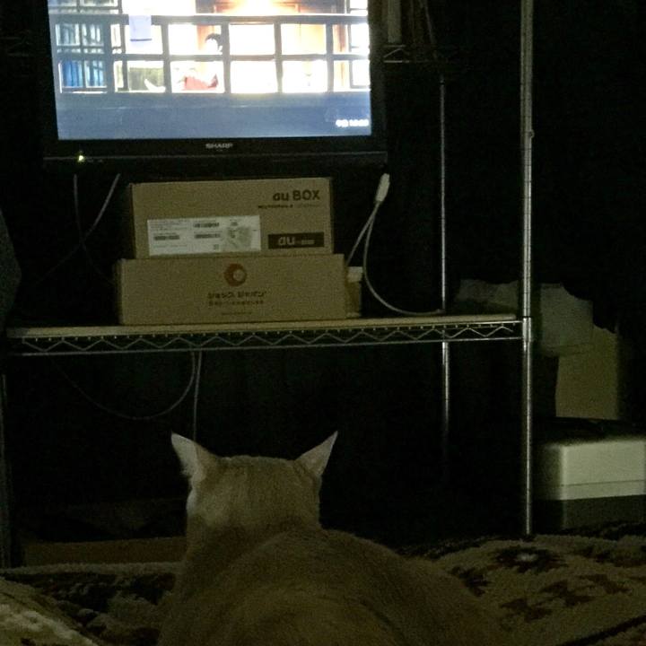 D967a3b3 67ac 4cce af76 e3ad34f4f22d