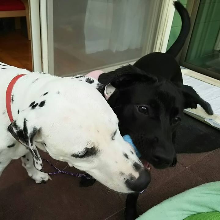 D967a56a 440a 4396 b13b cf213da85818