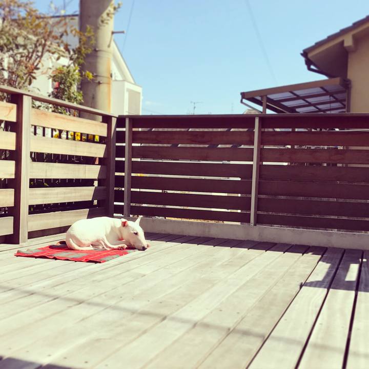 D967c359 af18 4e12 96a1 84af9155ed11