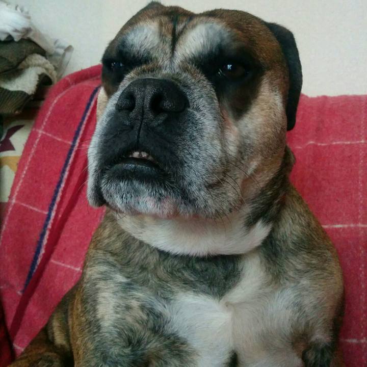 D967ece7 3847 4ec8 af58 7d88603860c6