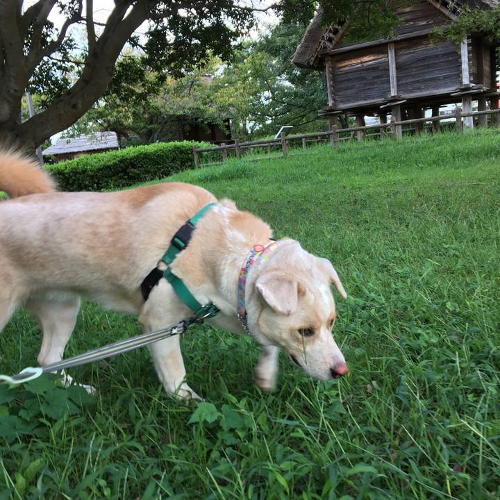 D96866eb f19e 41af 9a69 4940c17b8b32