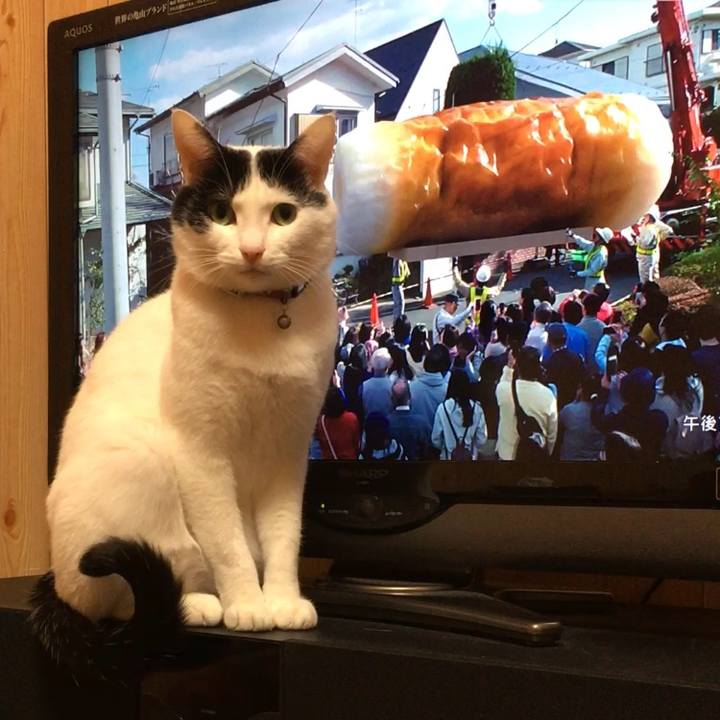 D9686b2c ccc4 418d 92b3 728b17e3b9ef