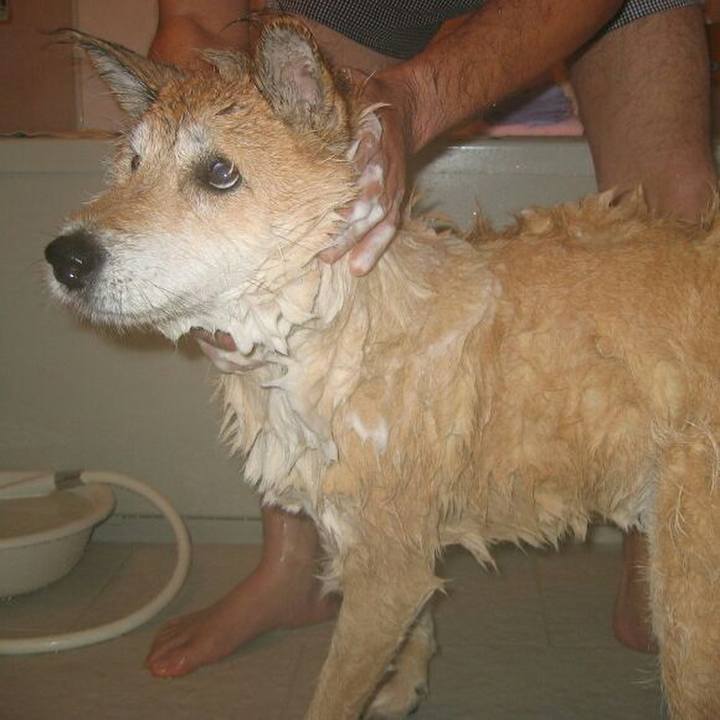 D9689195 1008 4387 a2f6 7648e080b141