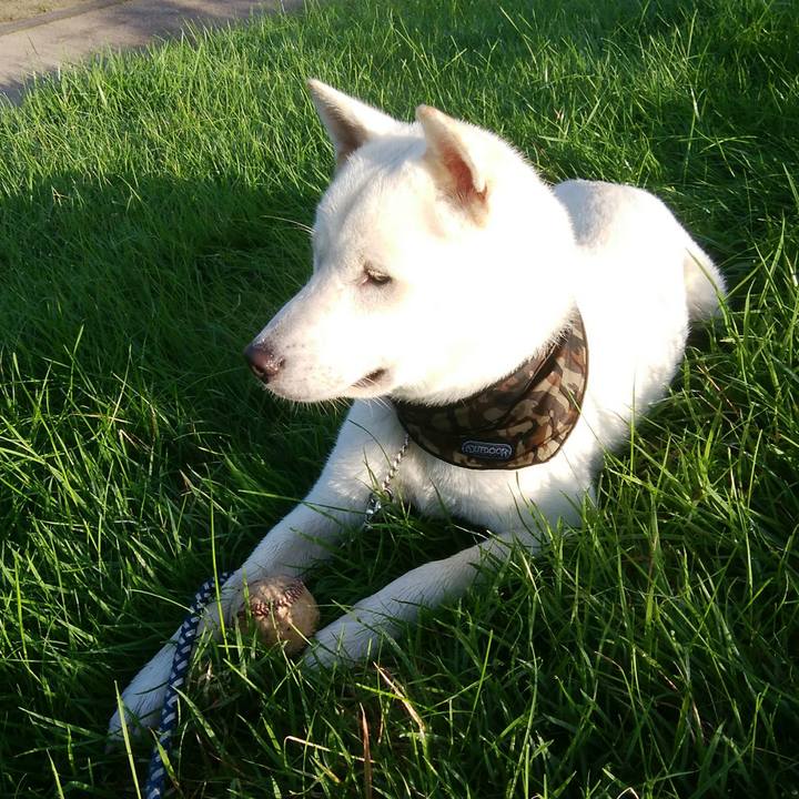 D968f3ae 163b 4f38 9b39 4382485fcf11