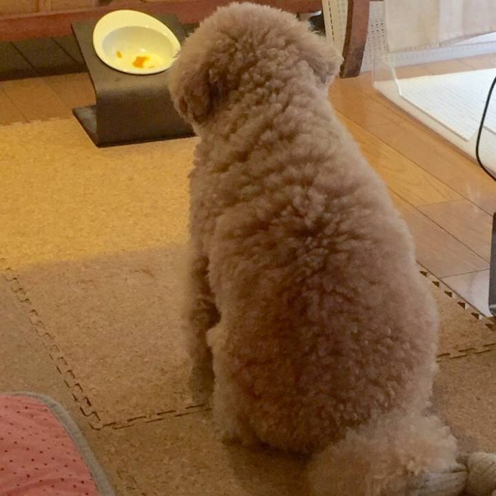 D9690b6d 7c3f 48ad 963e e9143d18073a