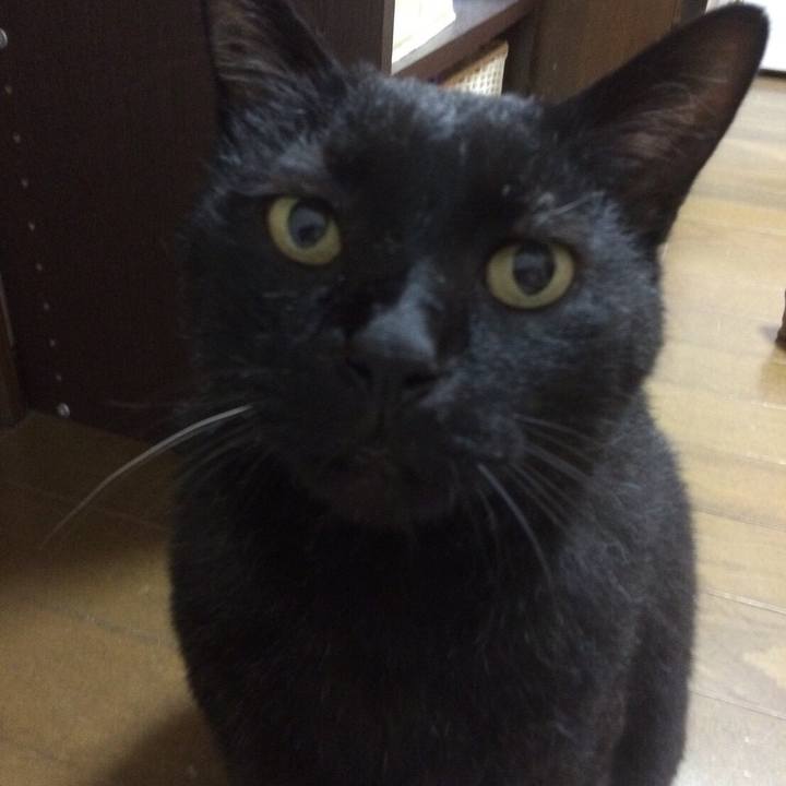 D969344f a9c3 41fc 8117 02577c68b3b6