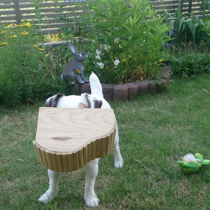 D9696fa7 5e7f 4a7a 8424 a6a886f5e03d