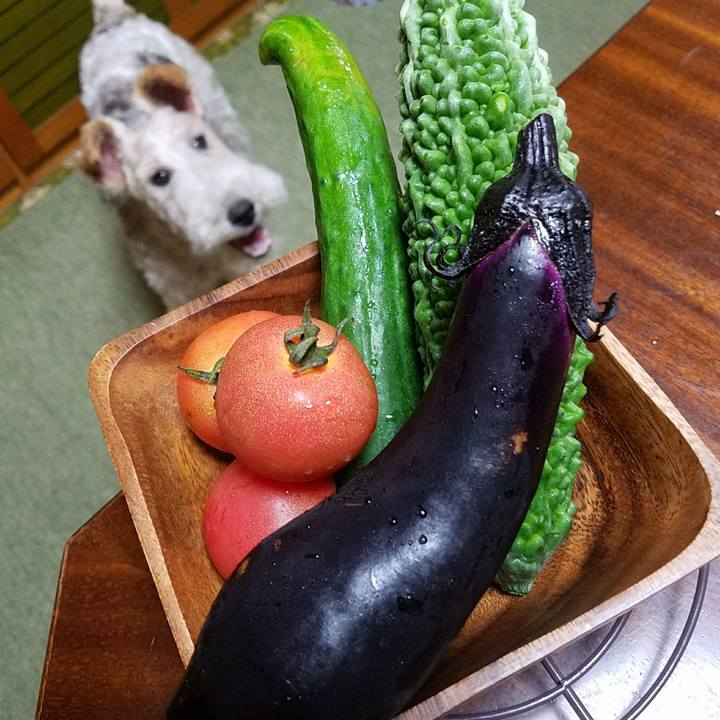 D969d3f0 829c 4454 9ba4 b649df19f408