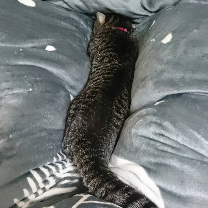 D969edb4 54a6 4565 bee2 9b7196b25ed3