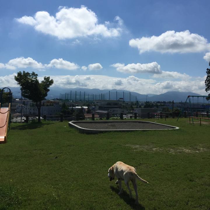 D969f9dc 02c5 49b5 905d d4b7a652eeb6