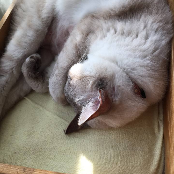 D96a30d6 cd3c 41a3 87af 70b48ff3aab9