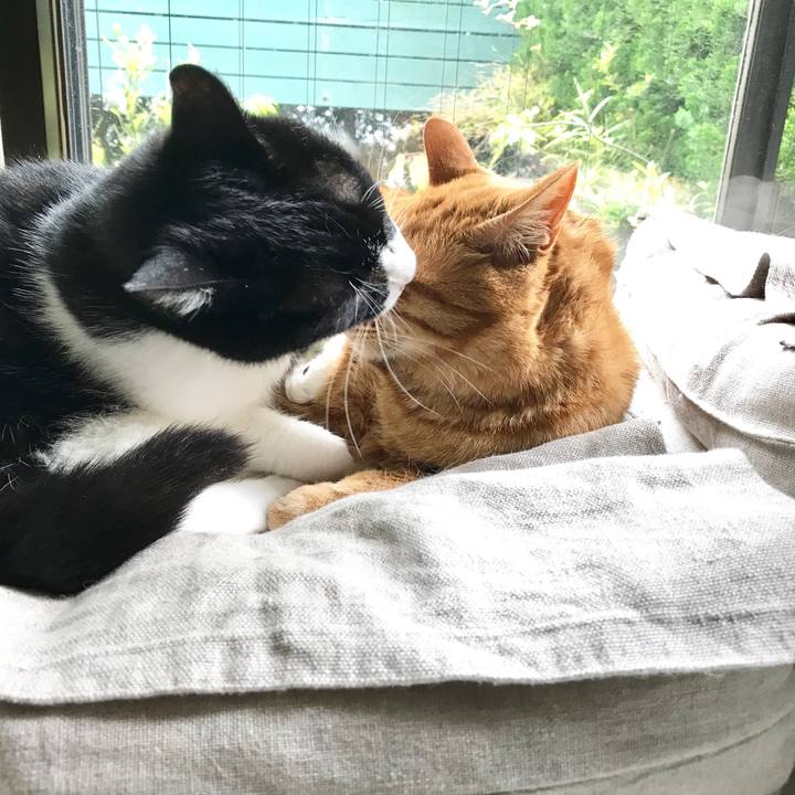 D96a58f2 902d 467b a406 d832f0524495