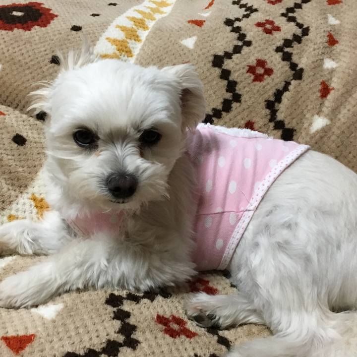 D96a97e6 d6af 42c5 80cf 0a63553eb83c