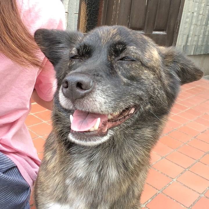 D96bc31d fdde 4b66 9575 ed1182af4eac