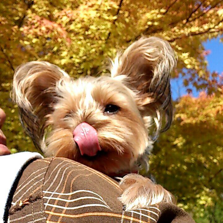 D96c0405 745d 4f82 bb62 9f355bf4f32a