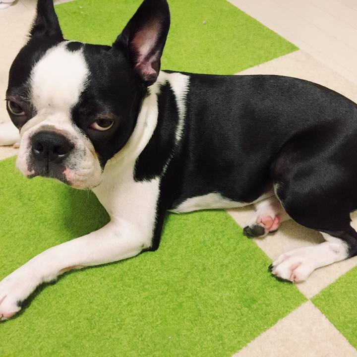 D96c2fe1 dca6 42f8 9f0a be91bb43e8ba