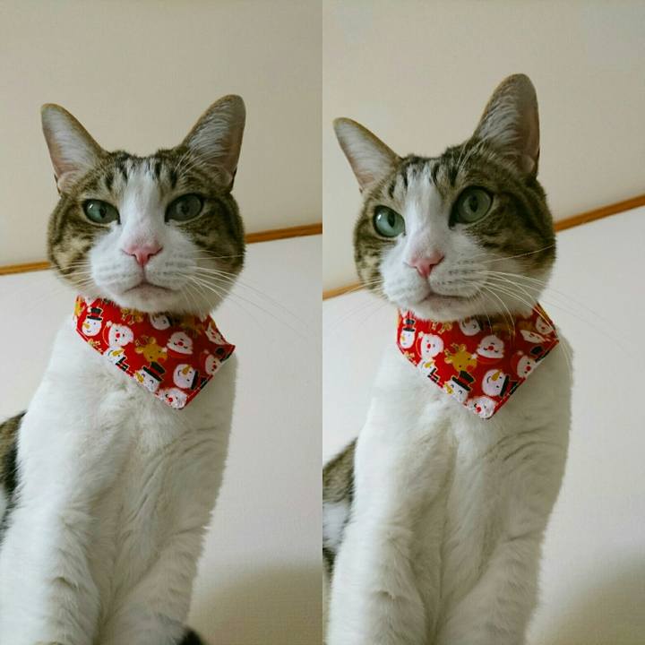 D96c733d 122d 4b15 bf66 21a16b26e475