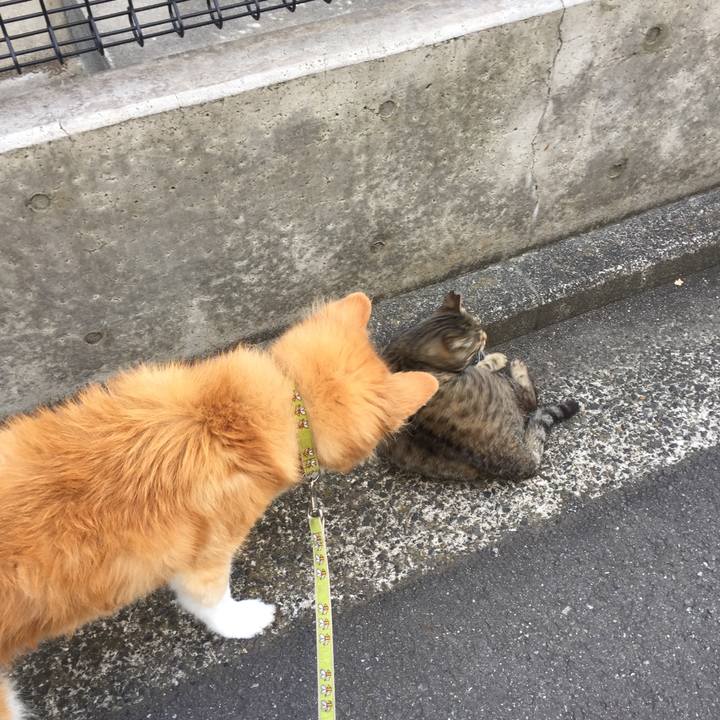 D96cab5d 64df 499a b16f 45eca42f1d5d