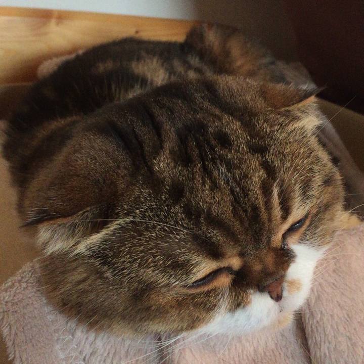 D96cd7ec eb5d 4914 b728 71e2c787551e