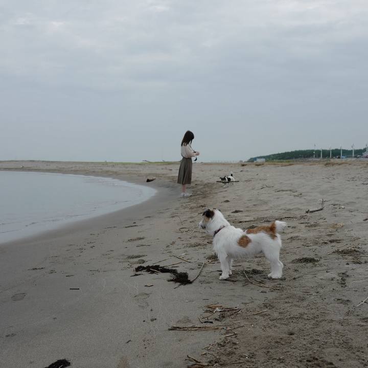 D96d0005 bef0 4e2b 9abb ab81ee0ef770