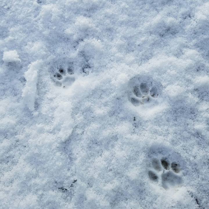 D96da883 6f36 4406 9399 c70bf86a413e