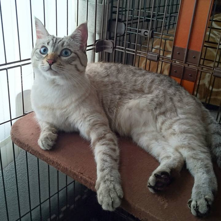 D96e0f61 dd4f 4ef1 87a5 896dcb443356