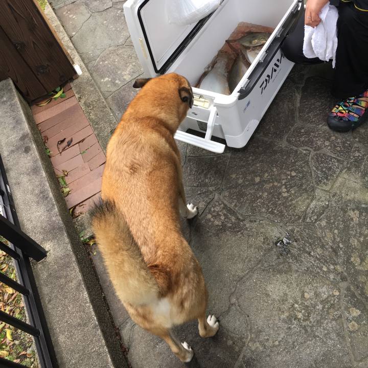 D96e51b9 fd62 4360 830e c8cc79d7644c