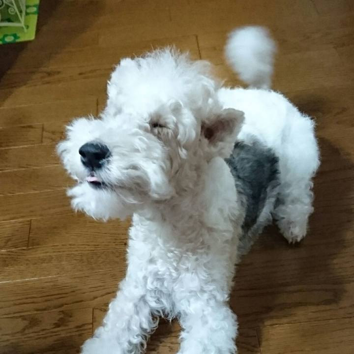 D96ed9e7 481c 404e 8add 655ff8cc845c