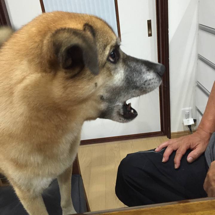 D96f26c7 8d19 4f3b 843e 941c01ac5044