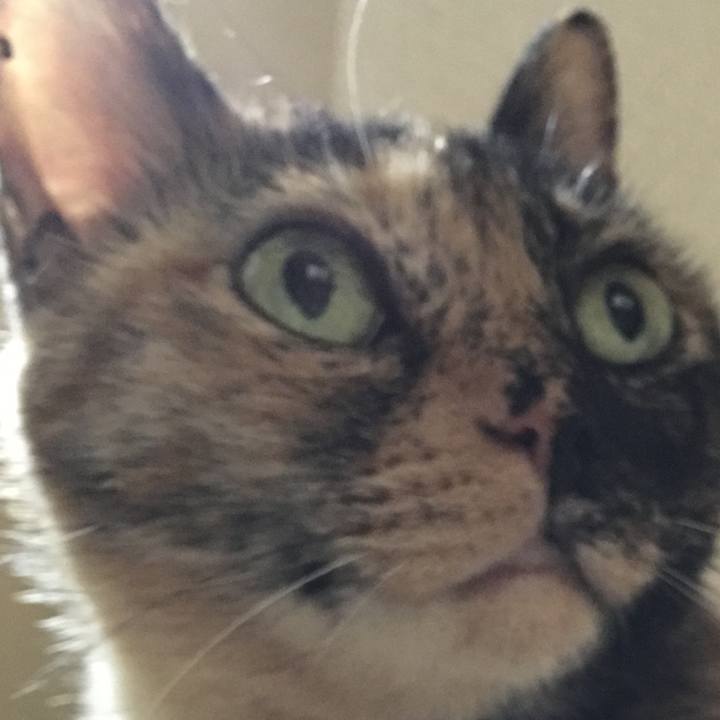 D96f9e8a 6046 451e bf7f a0a72d96194a