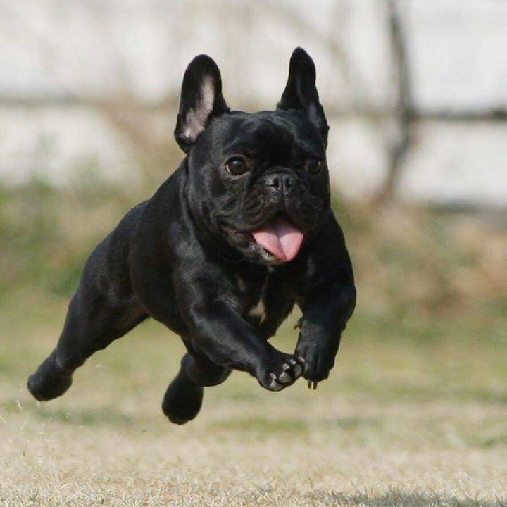 D96fd123 b172 4918 90cf c9c6ca0687aa