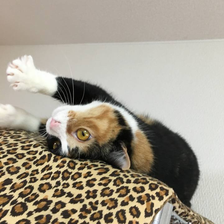 D9705459 ac28 4214 b344 1a304adfe12f