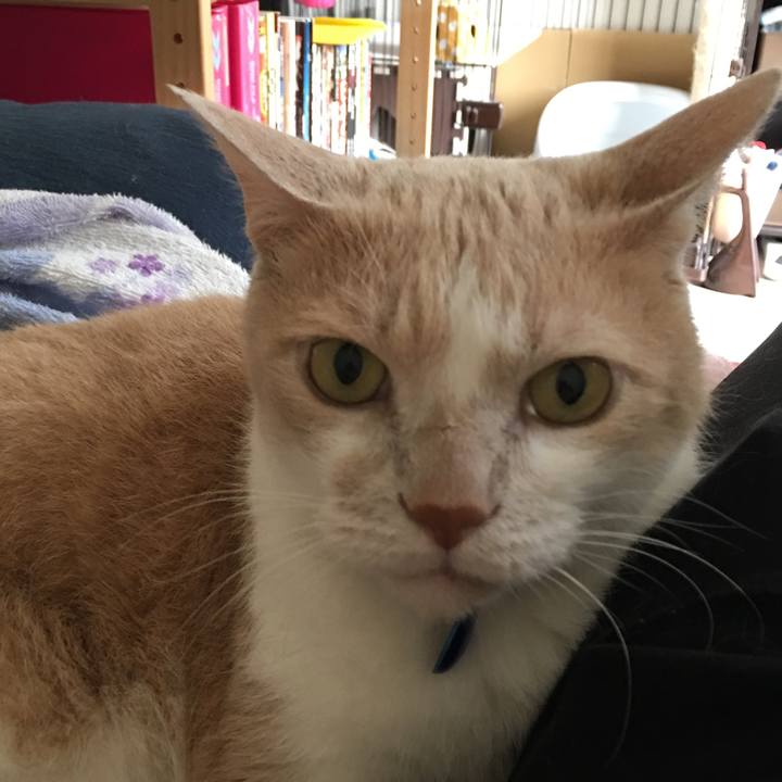 D97105ed 3d64 4793 b492 42b41f9e3d7c