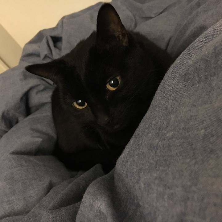 D9710967 4b3f 4882 85ce d563a29773f5